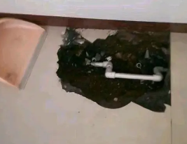 临朐卫生间测漏水多少钱